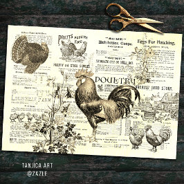 Papel De Seda Antiguo Rooster Horticultura Ands Ephemera Beige
