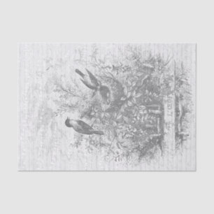 Papel De Seda Antiguos pájaros de época franceses nidos blancos