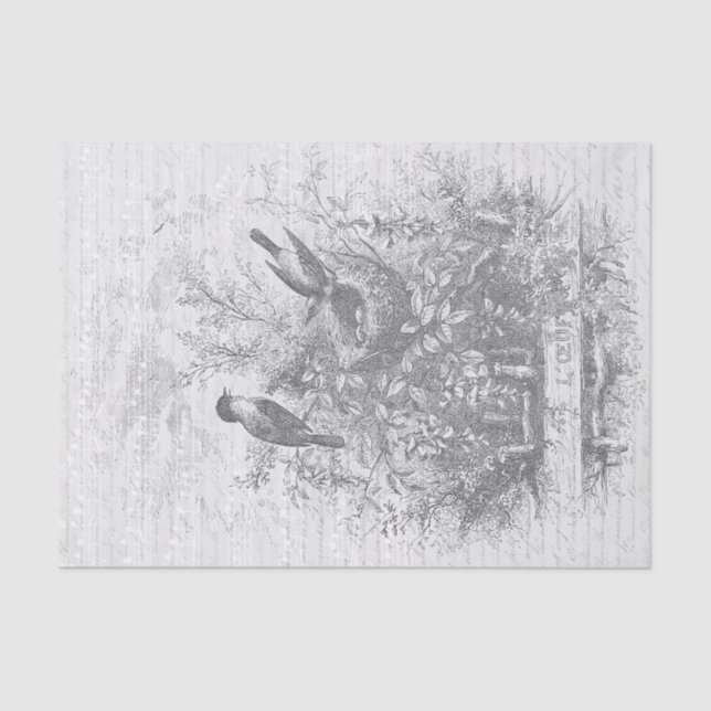 Papel De Seda Antiguos pájaros de época franceses nidos blancos  (Anverso)