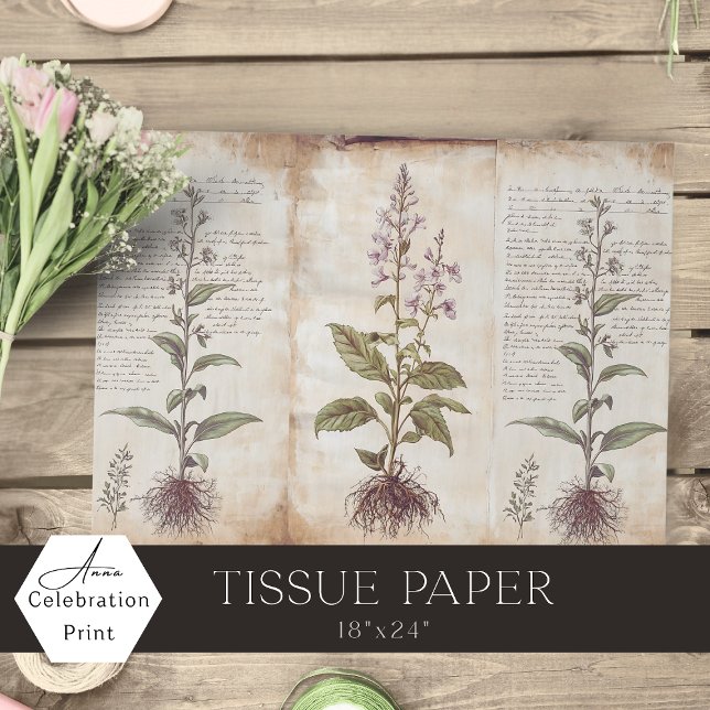 Papel De Seda Antique Botanical Herbs Decoupage (Subido por el creador)