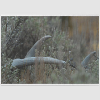 Papel De Seda Antlers perdidos