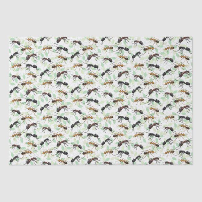 Papel De Seda Ants Insect Bugs Creaturas Crawly Asombrosas (Anverso)