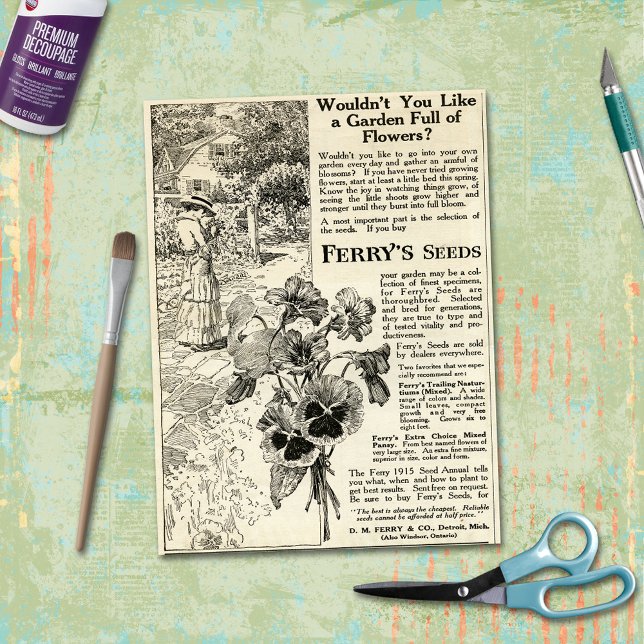Papel De Seda Anuncio de Semillas de Flores del Transbordador de (Subido por el creador)
