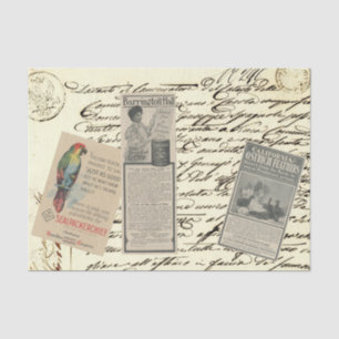 Papel De Seda Anuncios para catálogos de difusores de páginas an