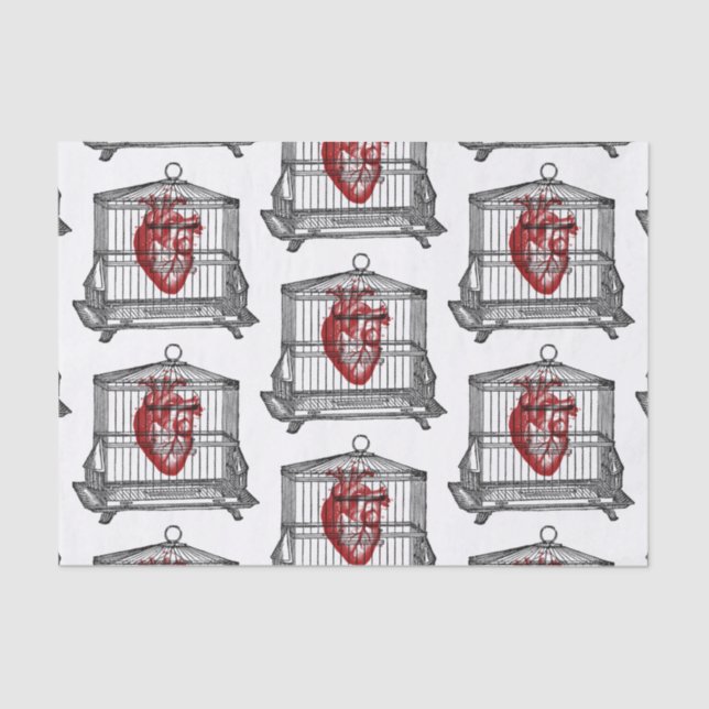 Papel De Seda Apoteario (Anverso)