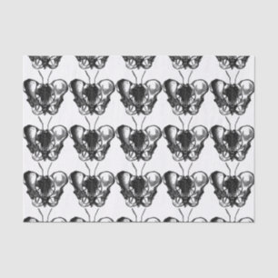 Papel De Seda Apothecary