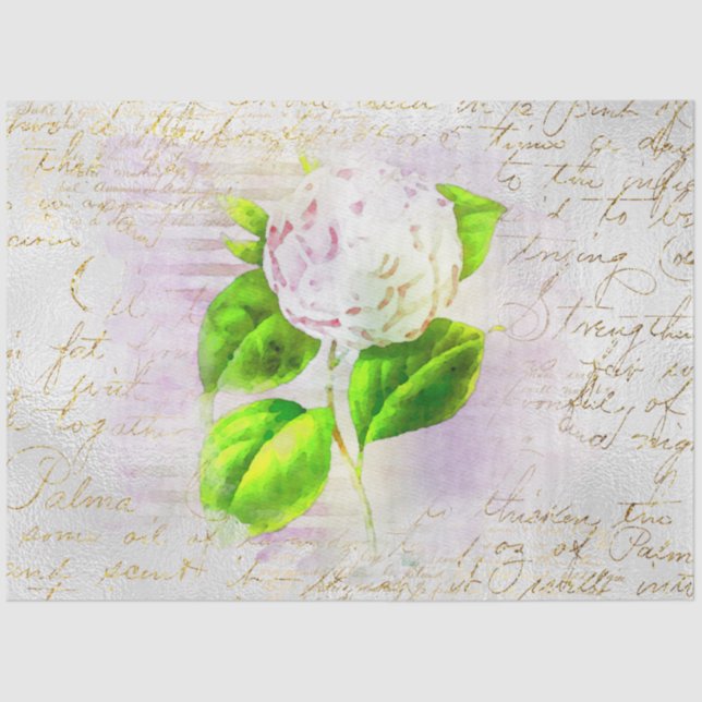 Papel De Seda ** AR23 Decografía antigua de escritura a mano con (Anverso)