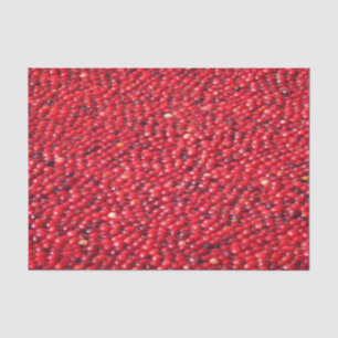 Papel De Seda Arándanos Festivos Rojos