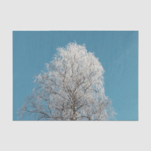 Papel De Seda Árbol blanco salvaje contra cielo azul sin nubes