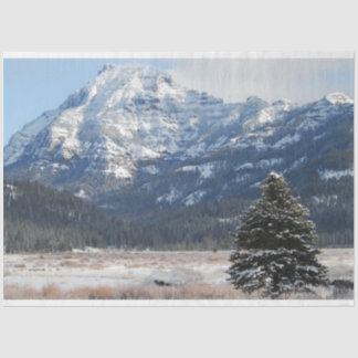 Papel De Seda Árbol de Navidad