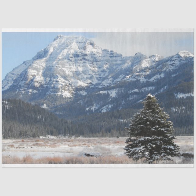 Papel De Seda Árbol de Navidad (Anverso)