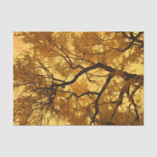 Papel De Seda Árbol de otoño hojas naranjas cielo amarillo