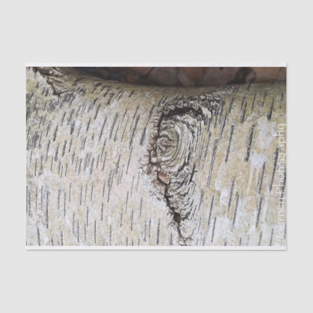 Papel De Seda Árbol de pájaros blancos (Anverso)