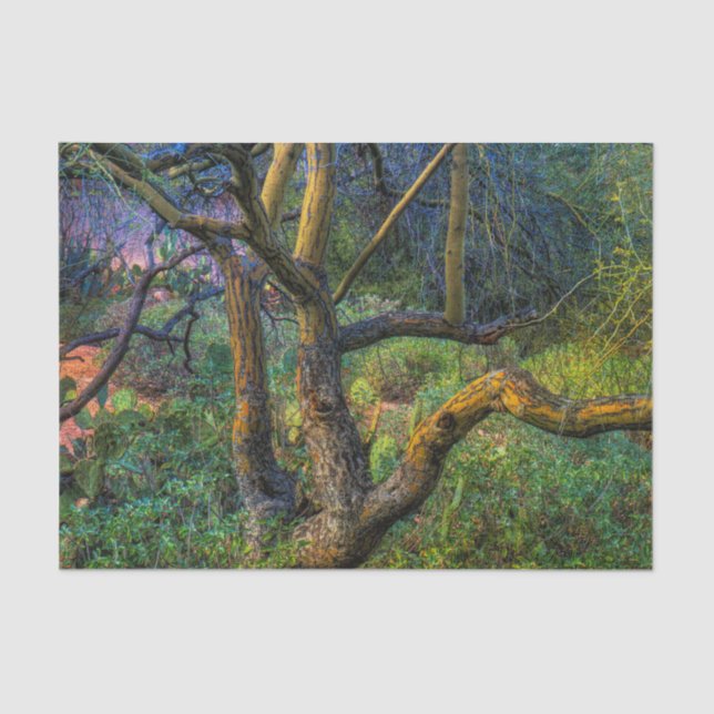 Papel De Seda Árbol de Palo Verde (Anverso)
