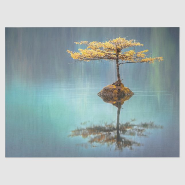 PAPEL DE SEDA: "ÁRBOL EN UNA ISLA"   (Anverso)