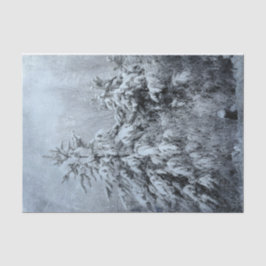 Papel De Seda Árboles cubiertos de nieve de bosque vitícola de i