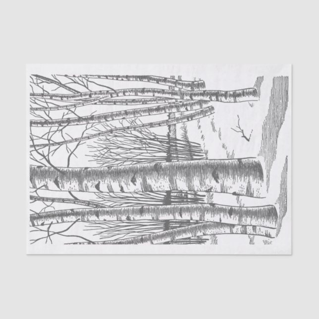 Papel De Seda Árboles de abedul en invierno (Anverso)