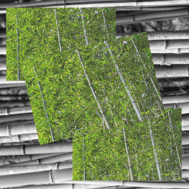 Papel De Seda Árboles de bambú verdes Grove Fotografía natural