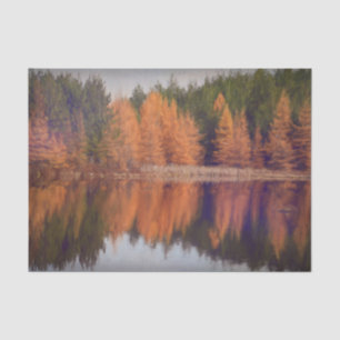 Papel De Seda Árboles de otoño con temática de pintura de naranj