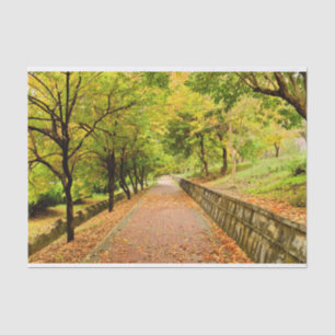 Papel De Seda Árboles del otoño