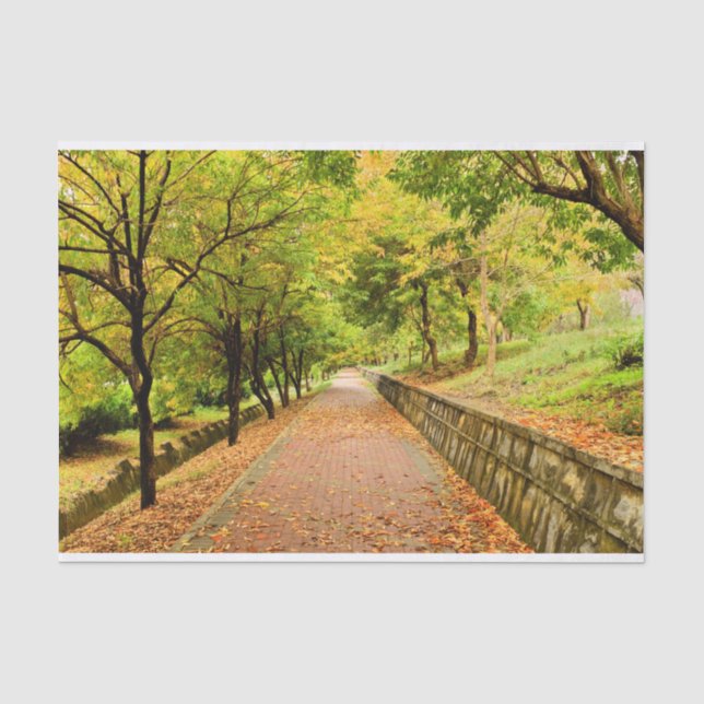 Papel De Seda Árboles del otoño (Anverso)