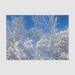 Papel De Seda Árboles Invierno Nieve Cubierta Cielo Azul Paisaje