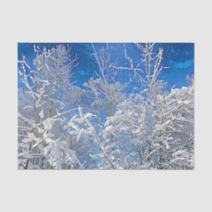 Papel De Seda Árboles Invierno Nieve Cubierta Cielo Azul Pintado
