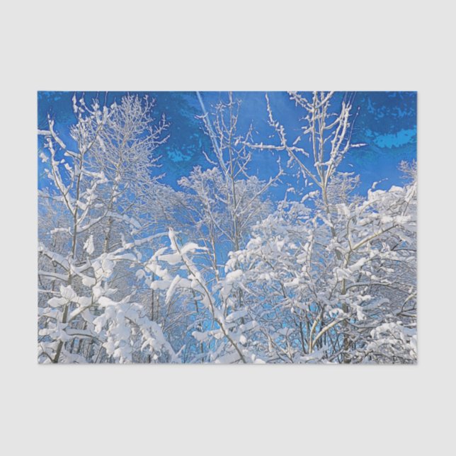 Papel De Seda Árboles Nieve de invierno cubierta cielo azul pais (Anverso)