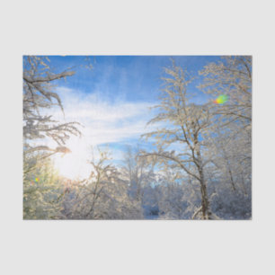 Papel De Seda Árboles Nieve de invierno cubierta nubes cielo azu