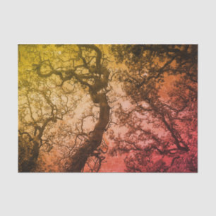 Papel De Seda Árboles rosados de Rubor