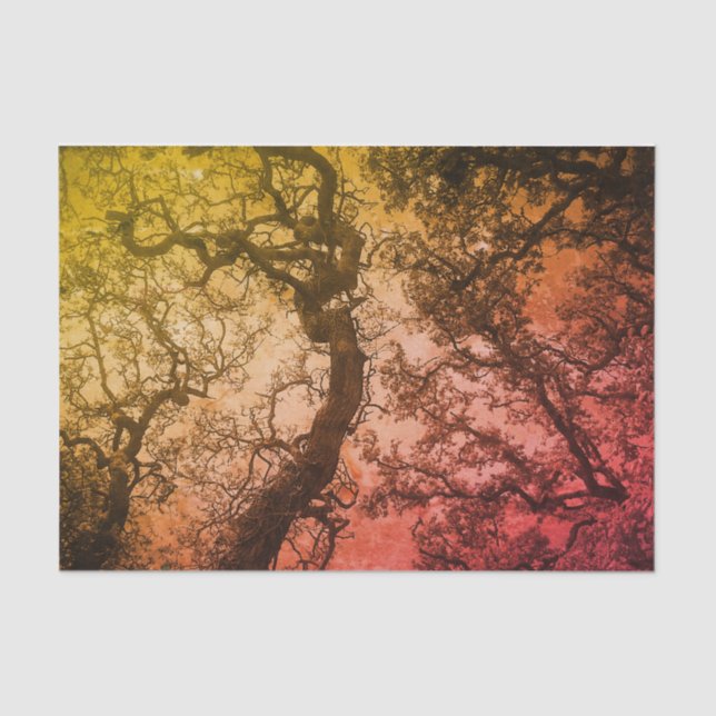 Papel De Seda Árboles rosados de Rubor (Anverso)