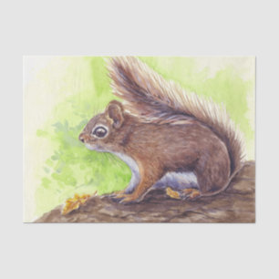 Papel De Seda Ardilla