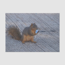 Papel De Seda Ardilla con estallido