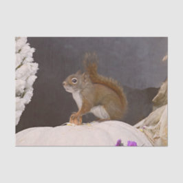 Papel De Seda Ardilla De Bosque Sentada En La Calabaza