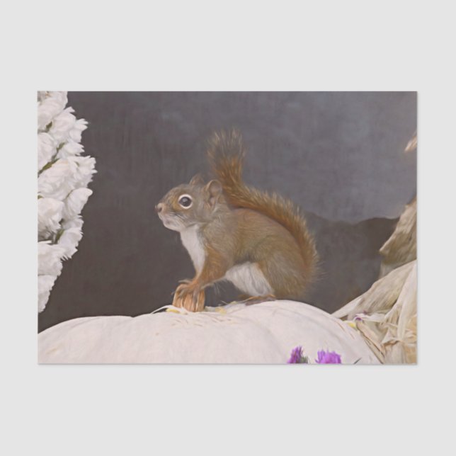 Papel De Seda Ardilla De Bosque Sentada En La Calabaza (Anverso)