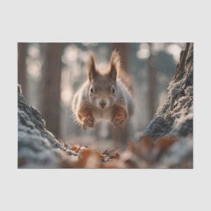 Papel De Seda Ardilla Roja Saltando en Bosque Helado