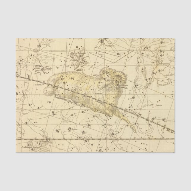 Papel De Seda Aries, Musca Borealis (Anverso)