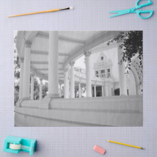 Papel De Seda Arquitectura de columnas antiguas Fotografía en bl
