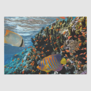 Papel De Seda Arrecife de coral con coral de fuego y peces exóti