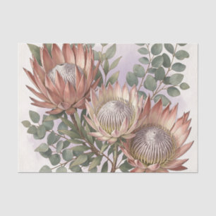 Papel De Seda Arreglo Botánico de Eucalipto Protea Rosa 