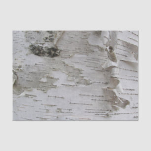 Papel De Seda Arroz de árbol de birch Peeling Old Photo Art
