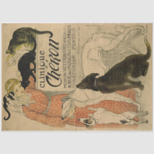 Papel De Seda Art Nouveau Poster 21 Mascotas Lady Decoupage
