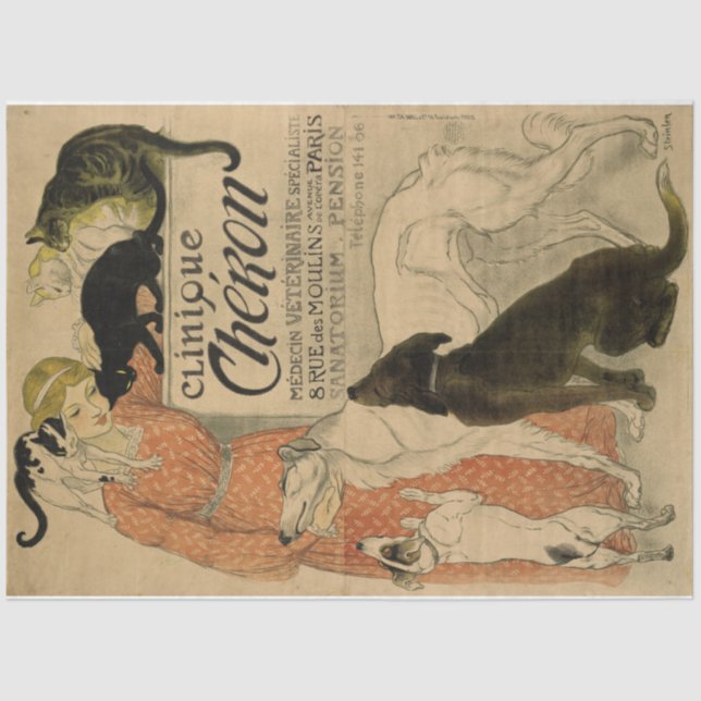 Papel De Seda Art Nouveau Poster 21 Mascotas Lady Decoupage (Anverso)