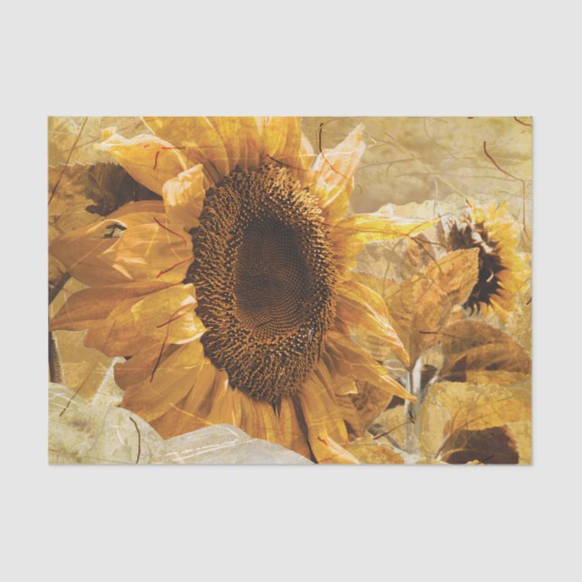 Papel De Seda Arte amarillo hermoso de la foto del girasol (Anverso)