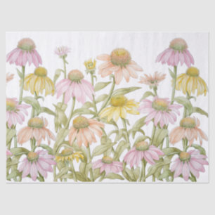 Papel De Seda Arte botánico acuarela de equináceas