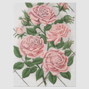 Papel De Seda Arte Botánico de Rosa Rosa Vintage Estilo Cottagec
