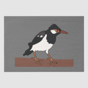 Papel De Seda Arte de ave Myna de patas negras