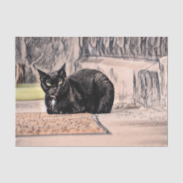 Papel De Seda Arte de boceto antiguo vintage gato negro lindo