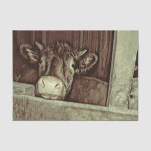 Papel De Seda Arte de boceto marrón vintage rústico de vaca gran
