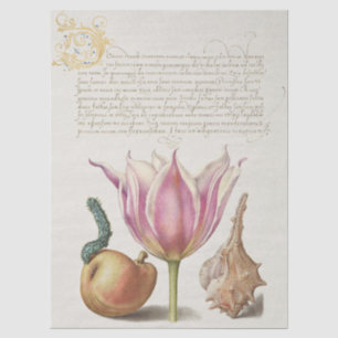 Papel De Seda Arte de Caligrafía del Renacimiento Flor de Tulipá